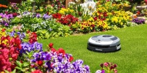 Robomow robotgräsklippare på grön gräsmatta i trädgård.