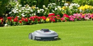 Gardena robotgräsklippare klipper gräsmattan i trädgården.